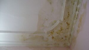 So sánh tấm thạch cao Knauf và Vĩnh Tường