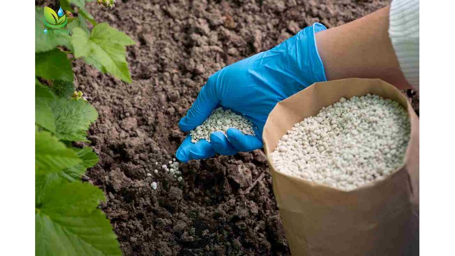 Cách điều chỉnh độ pH của đất bằng bột thạch cao