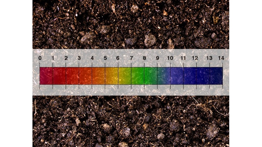 Cách điều chỉnh độ pH của đất bằng bột thạch cao
