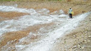 Hướng dẫn sử dụng bột thạch cao khử chua cho đất